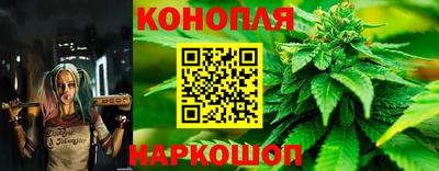 ALPHA PVP Обь
