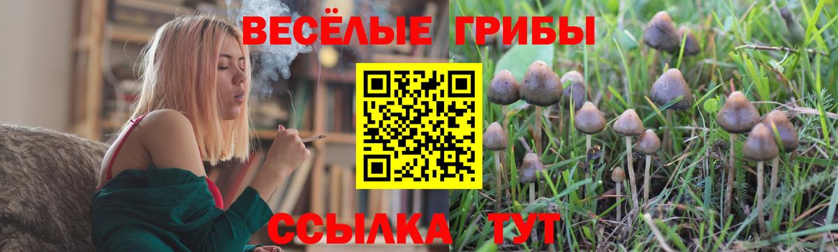 как найти наркотики  Вход с VPN  Семёнов  Галлюциногенные грибы Cubensis 